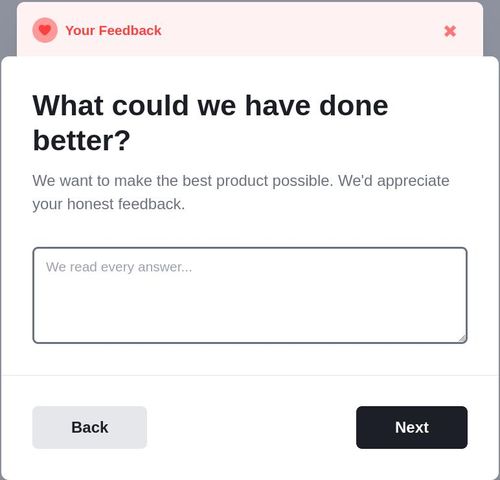 Freeform Feedback interface with text input area
